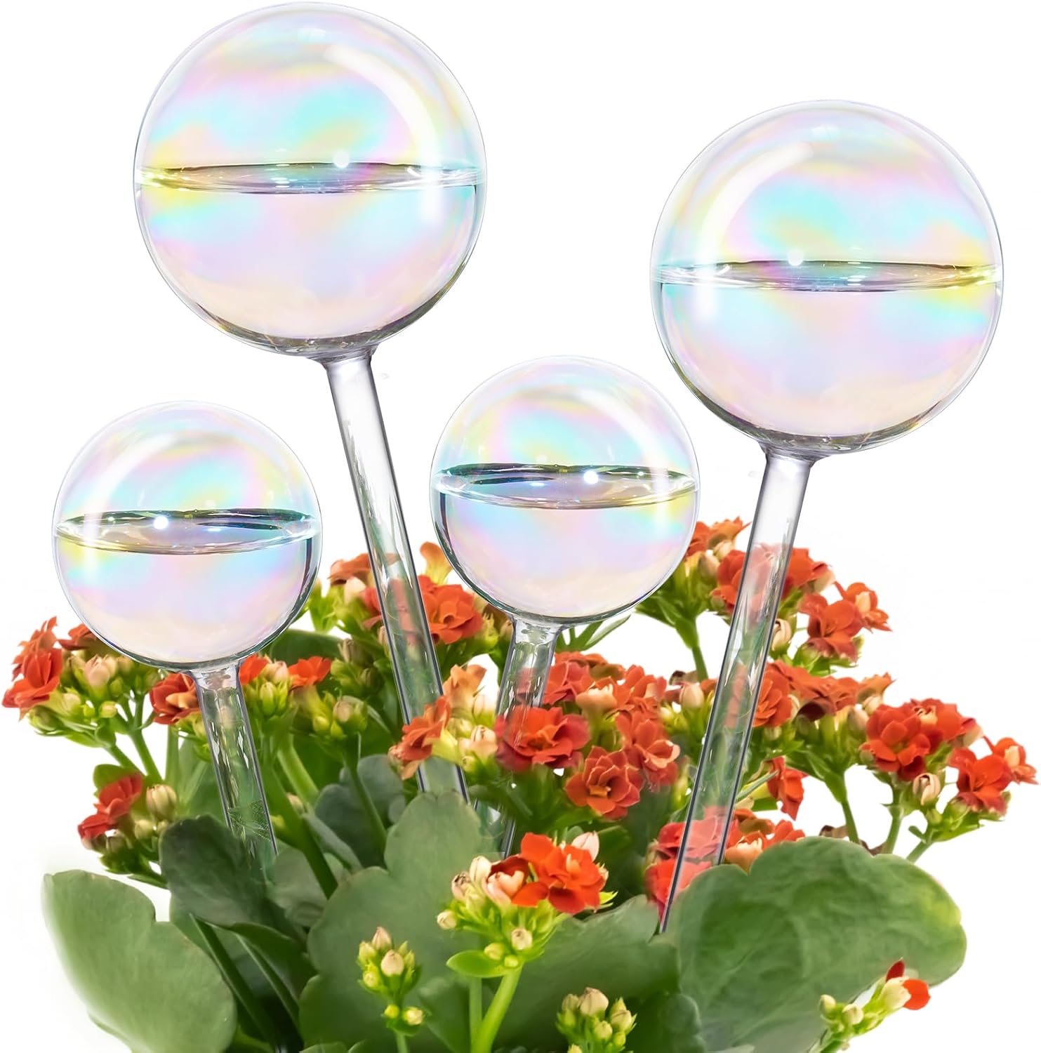Bewässerungskugeln für Pflanzen — 4er Set